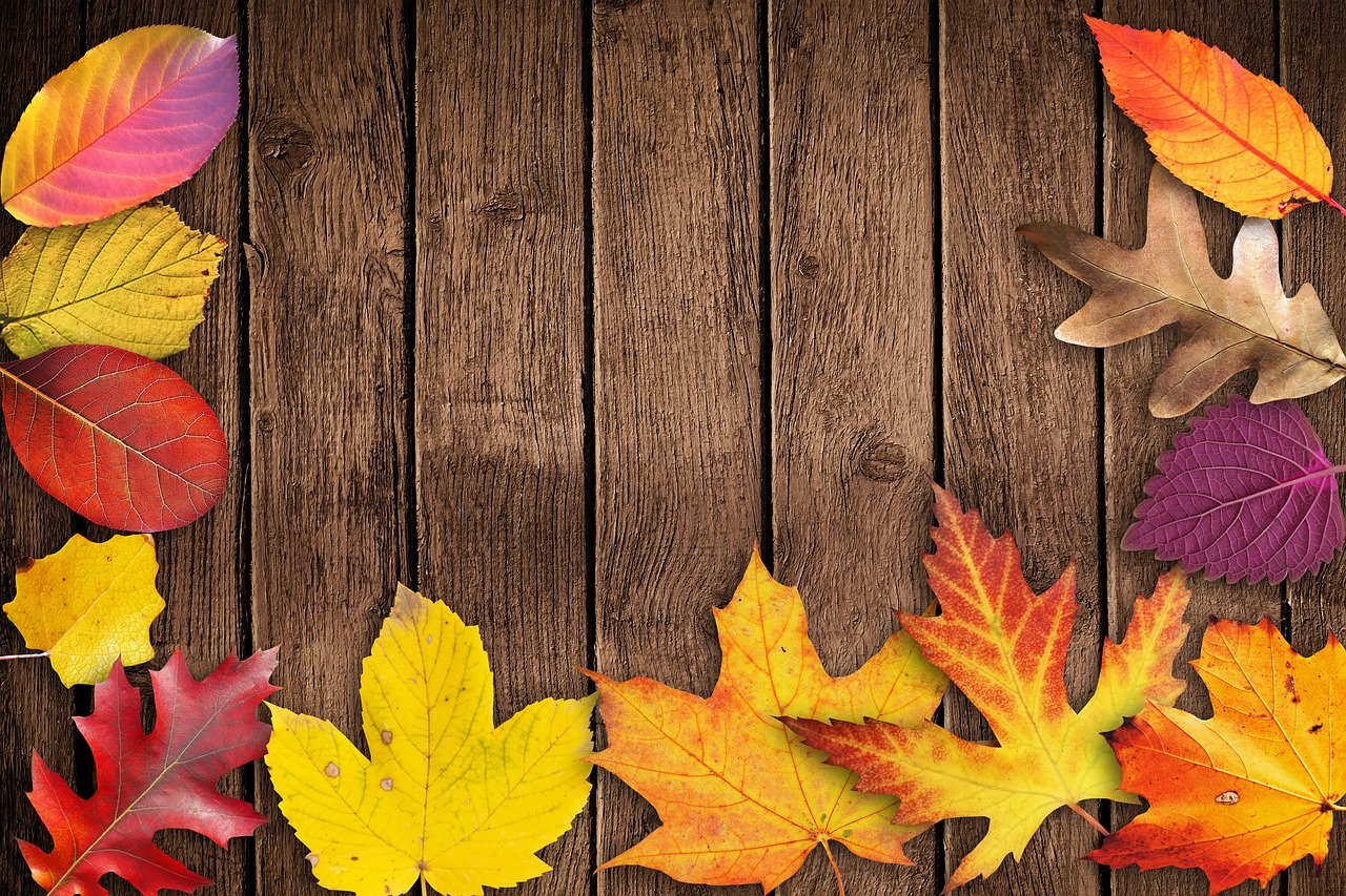 Image - autumn banner poster text box