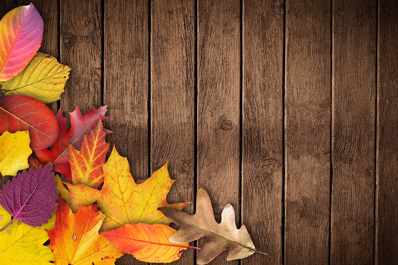 Image - autumn banner poster text box