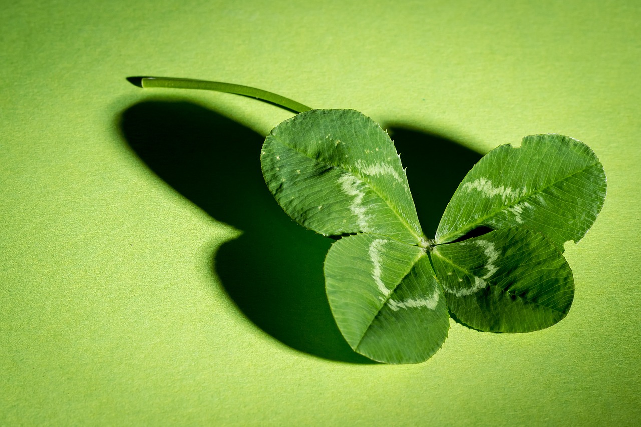 Image - klee four leaf clover green