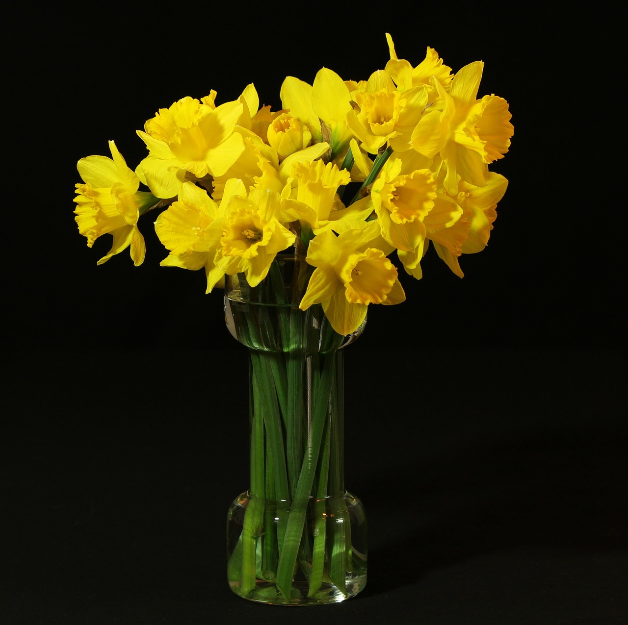 Image - flower vase daffodils jonquil