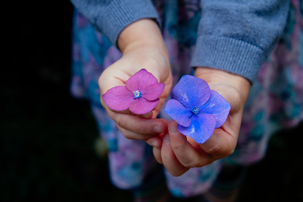 Image - flowers hands holding blossoms