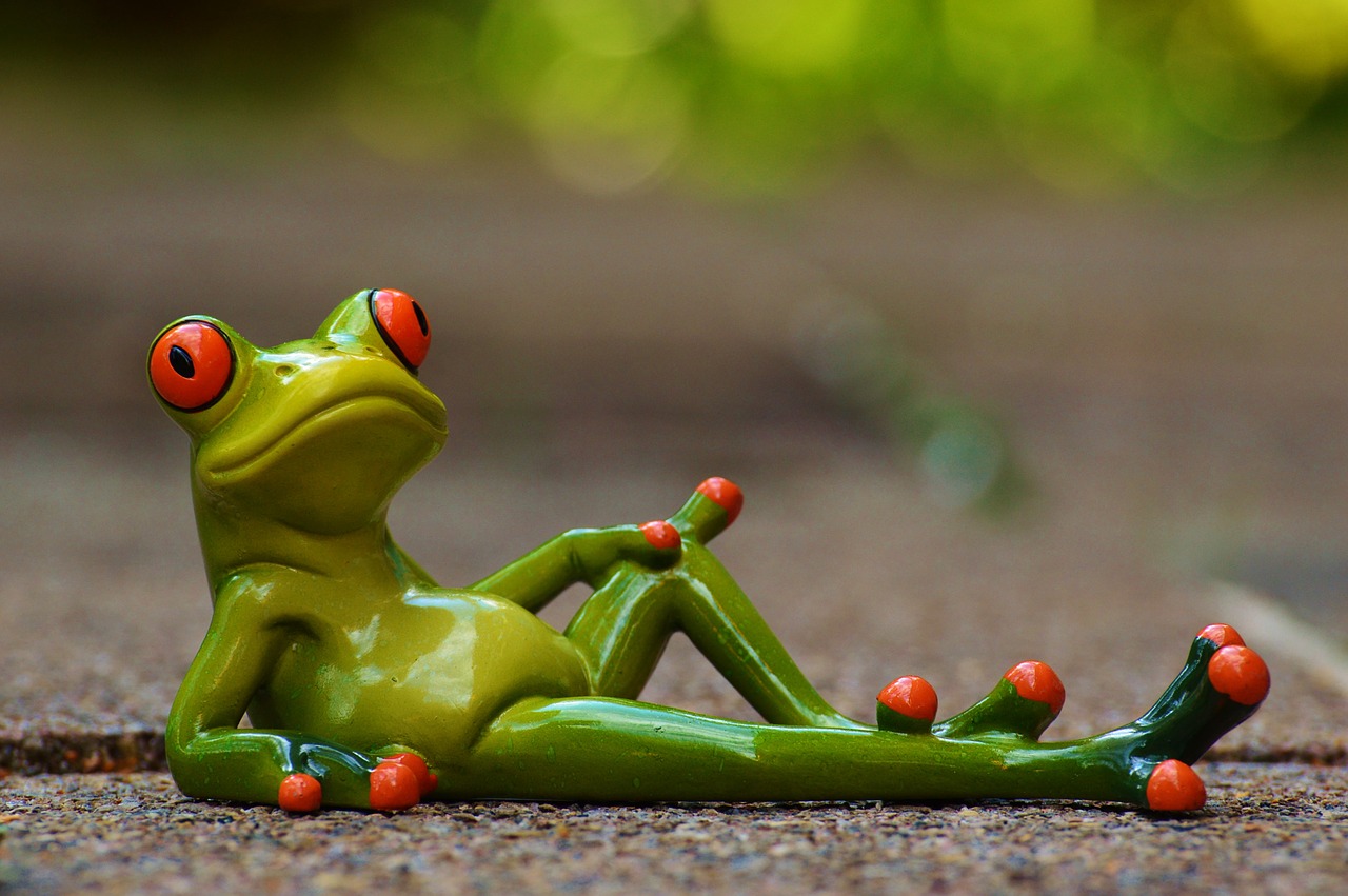 Image - frog lying relaxed cute rest