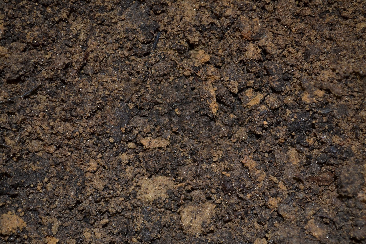 Image - dirt soil potting mix ground mud