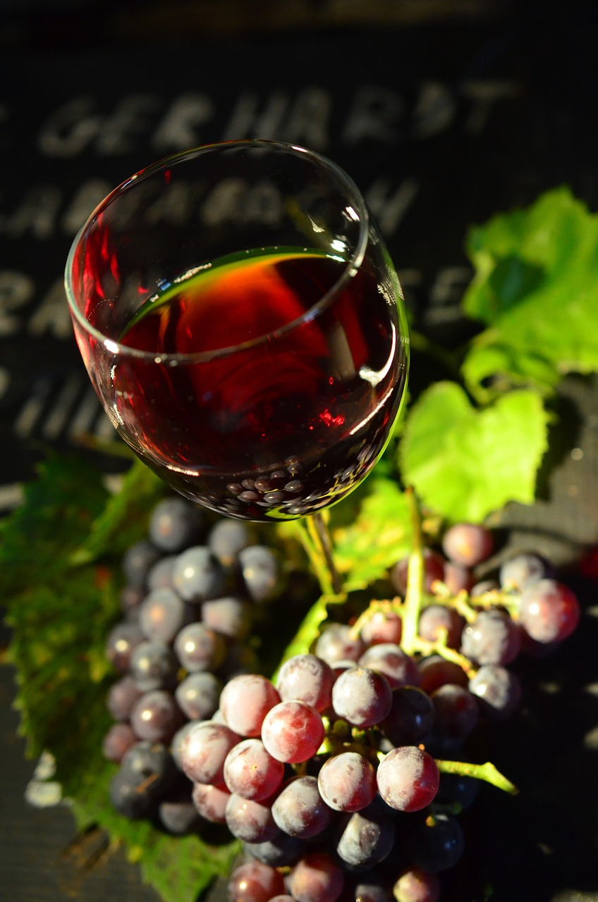 Image - wine glass grapes red wine