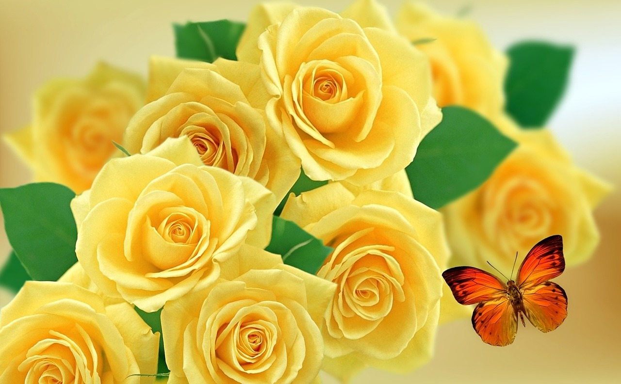 Image - yellow rose rosa roses nature