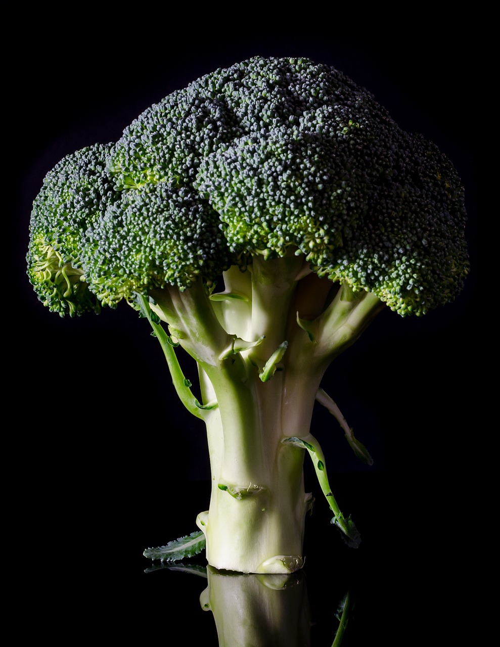 Image - broccoli fresh food healthy