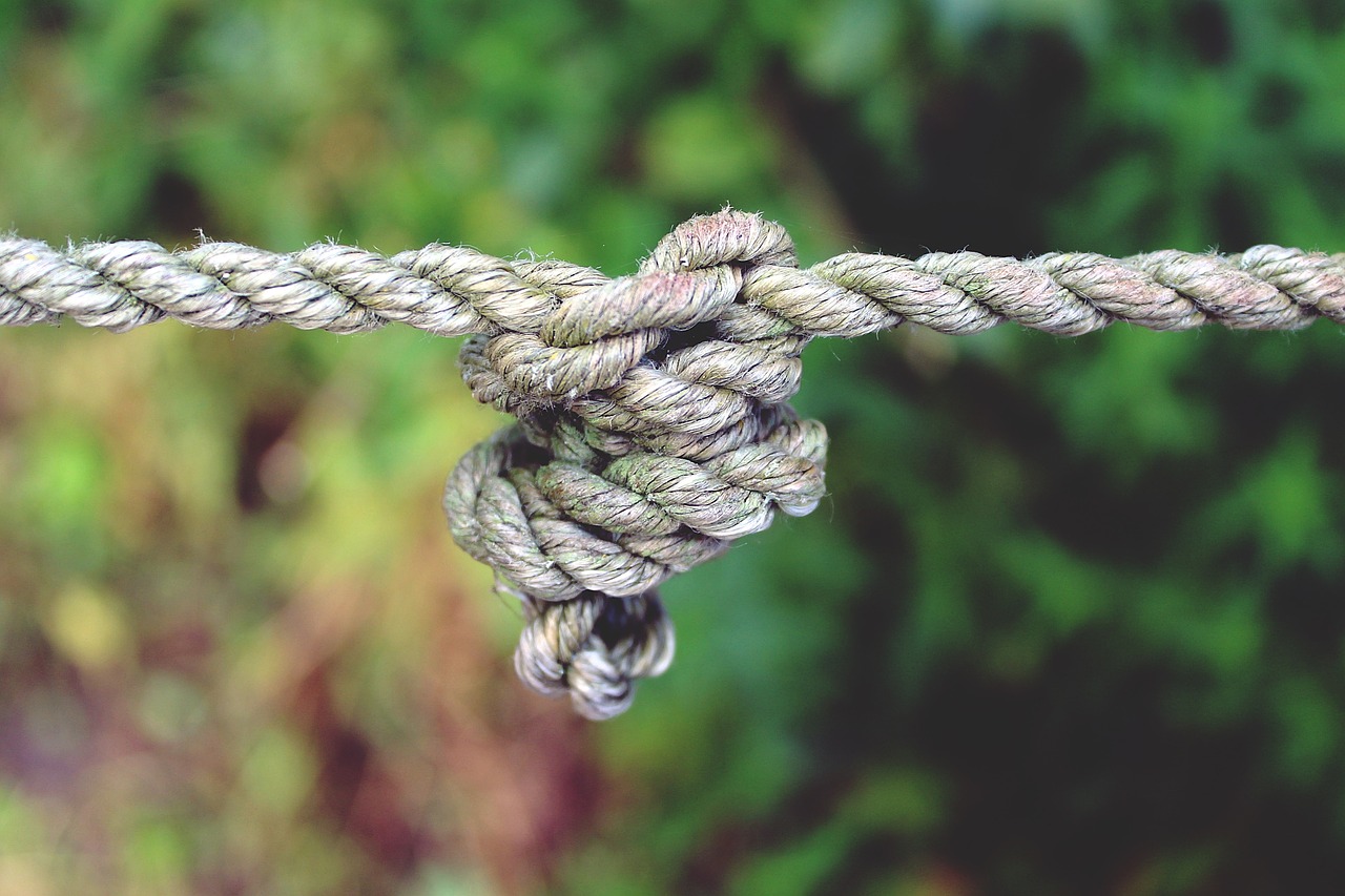 Image - rope knot dew close knotted