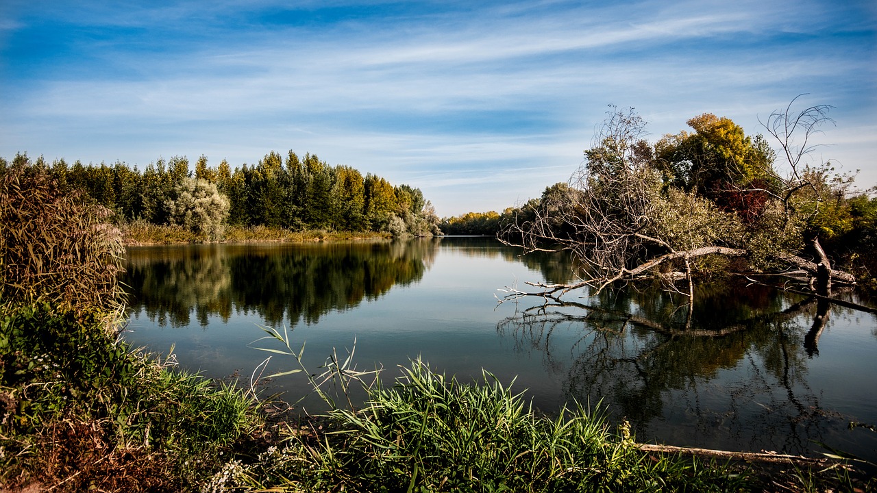 Image - autumn river nature flowing water