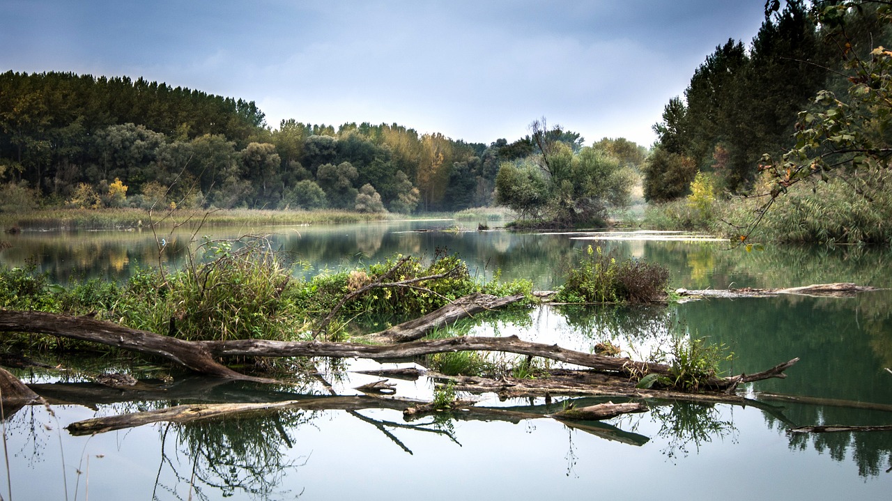 Image - river the danube fog reflection