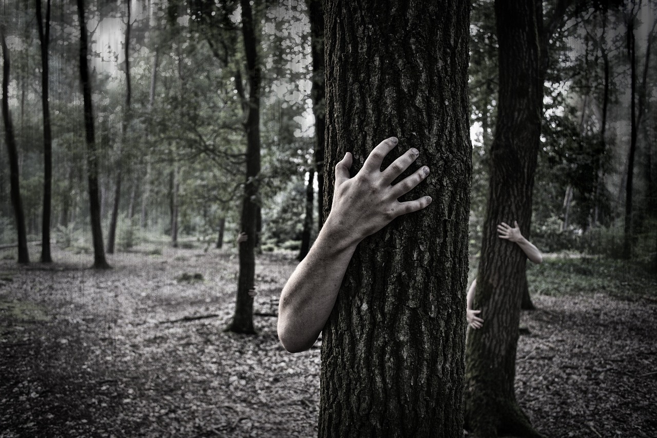Image - hands trunk creepy zombies forest