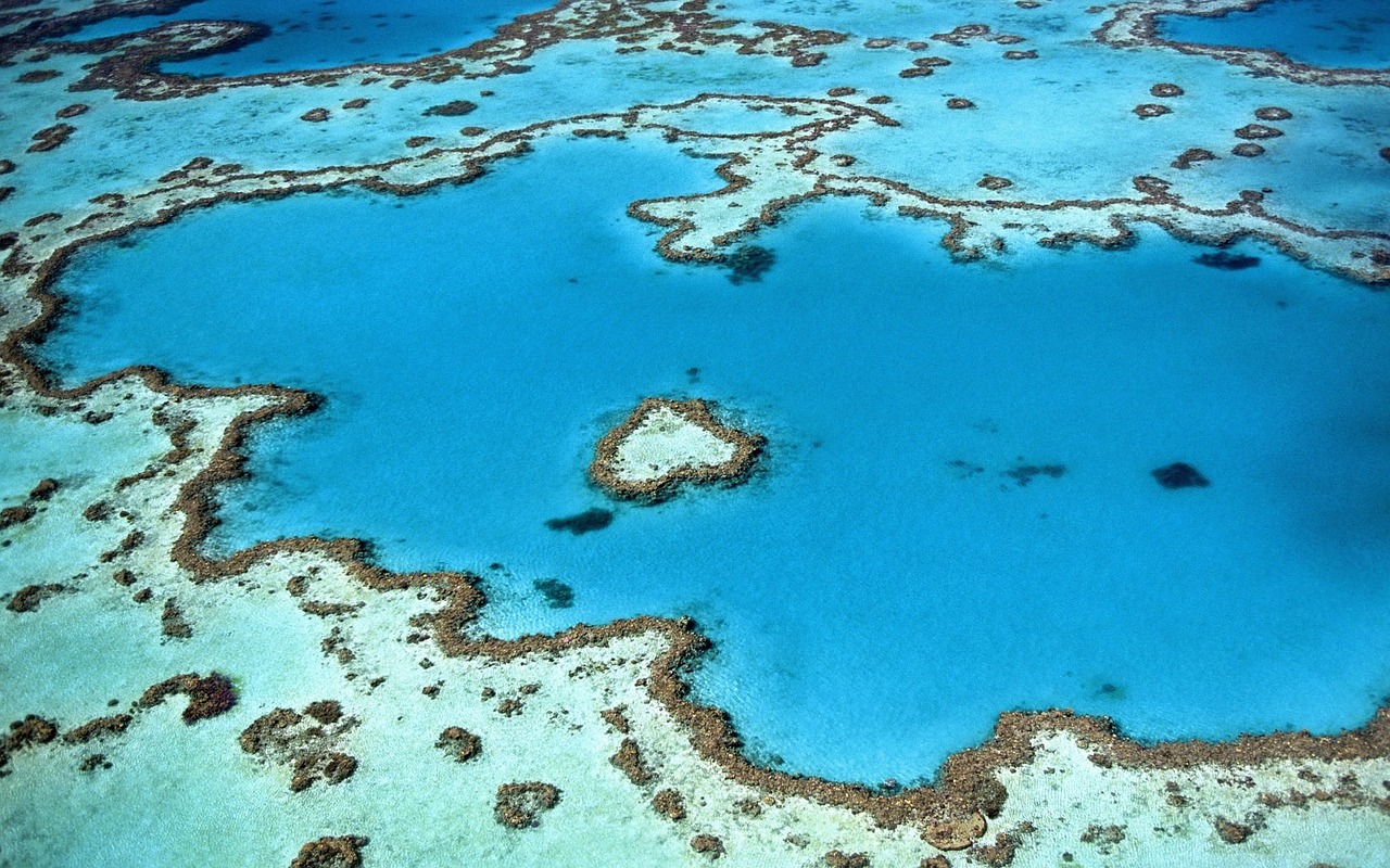 Image - reef heart shape island corals