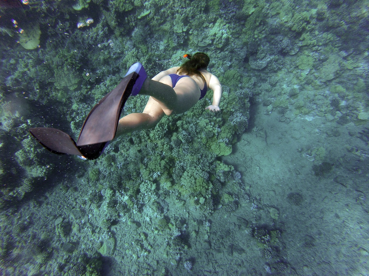 Image - snorkeling snorkelling woman