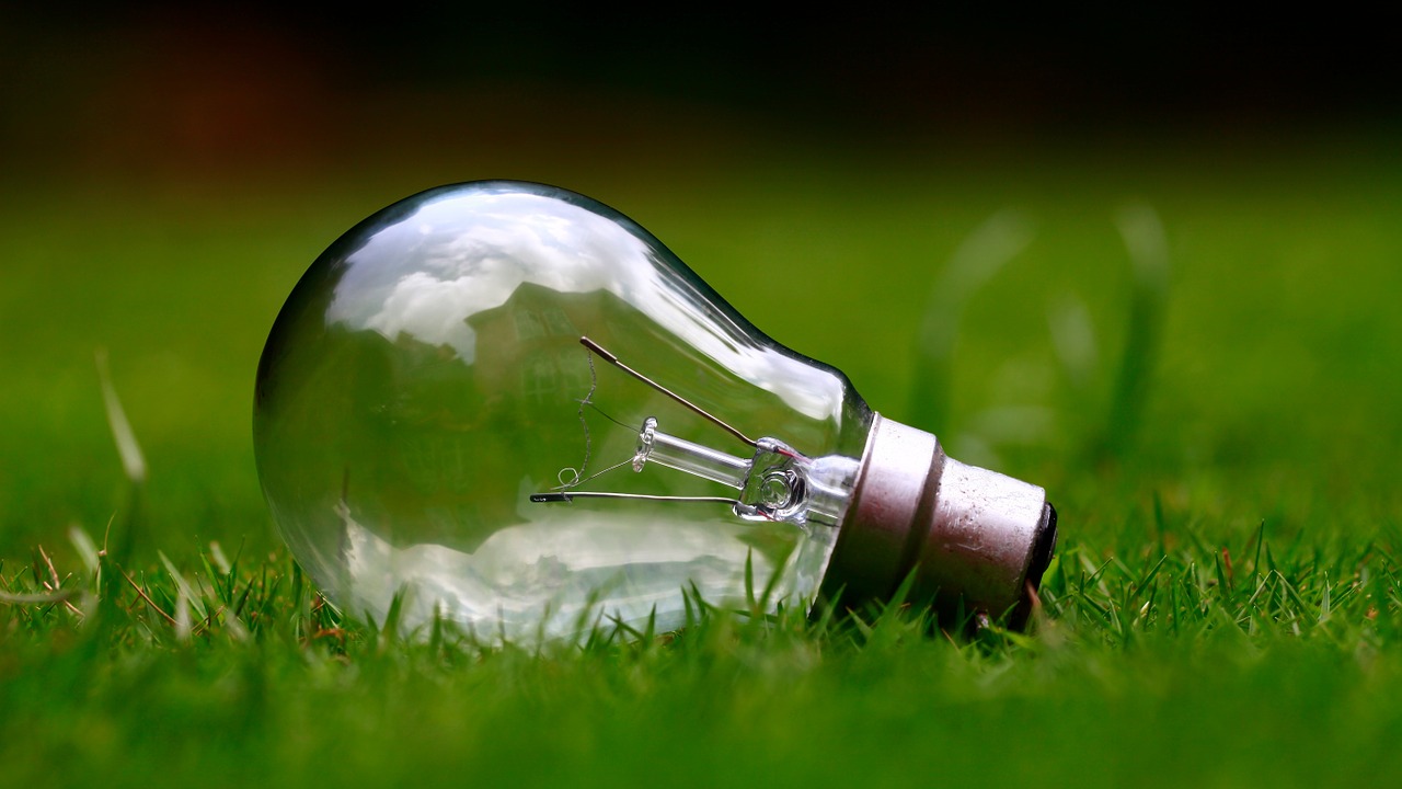 Image - light bulb grass bulb energy light