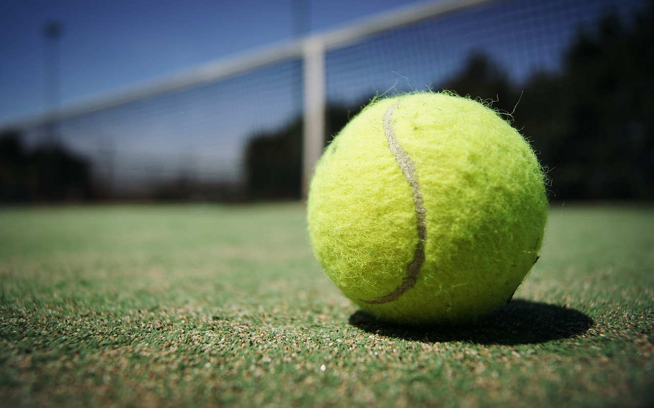 Image - tennis ball macro court yellow net