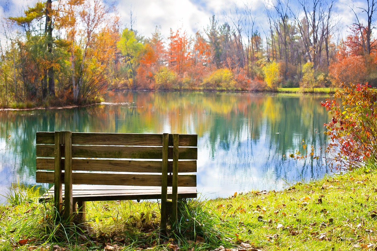 Image - wood bench pond autumn fall season