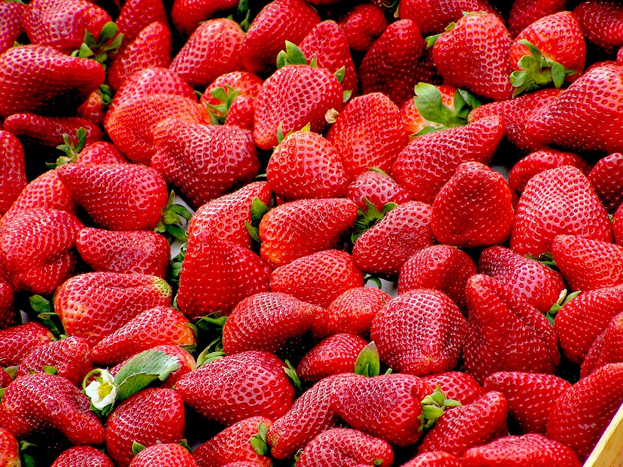 Image - strawberries red fruit