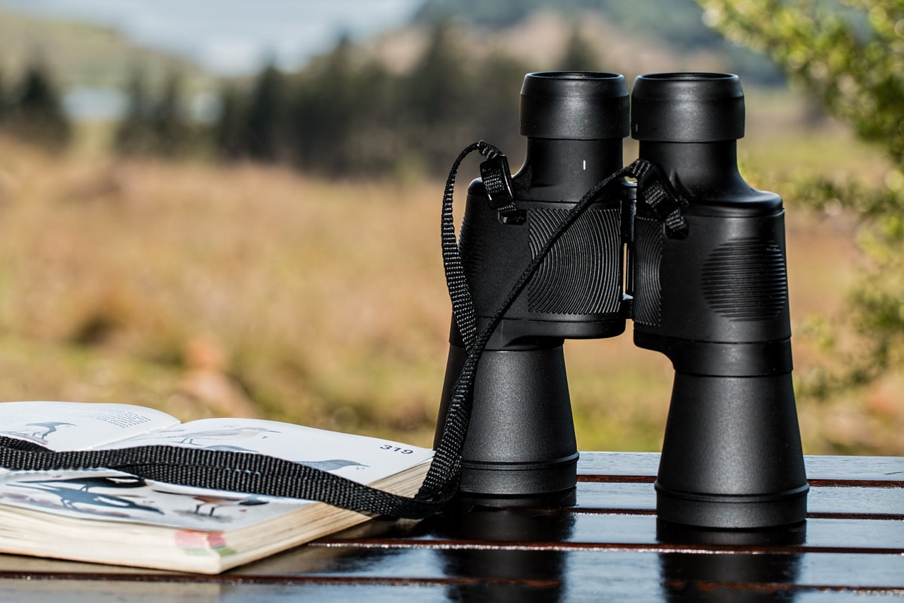 Image - binoculars birdwatching spy glass